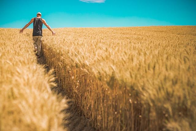 SEED - TIME - HARVEST